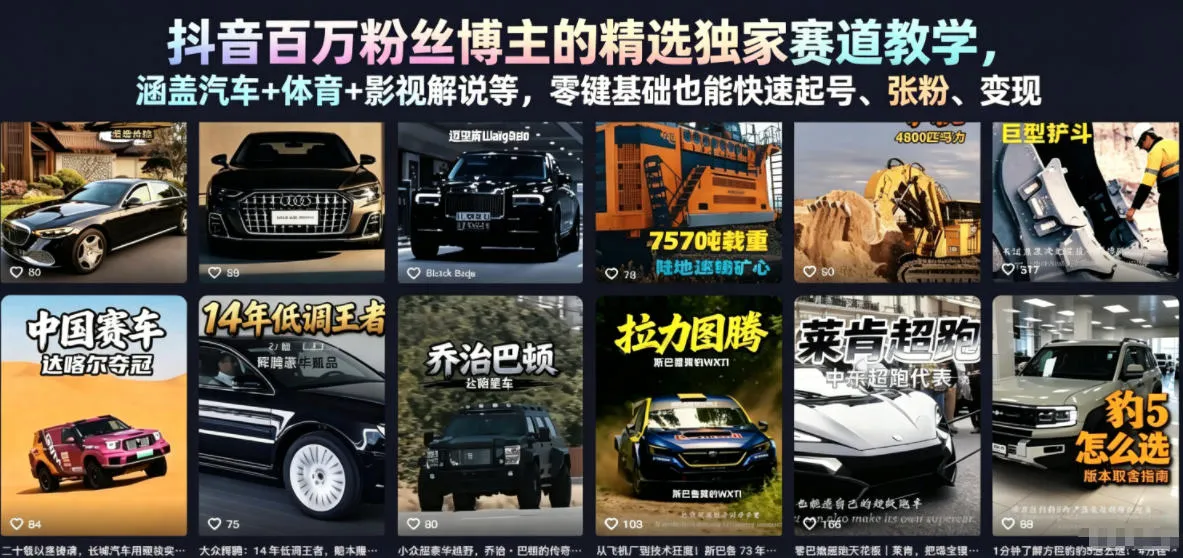 抖音百万粉丝博主的精选独家赛道教学，涵盖汽车+体育+影视解说等，零基础也能快速起号、涨粉、变现(更新0701)-续财库