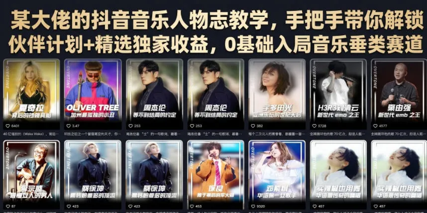 某大佬的抖音音乐人物志教学，手把手带你解锁伙伴计划+精选独家收益，0基础入局音乐垂类赛道-续财库