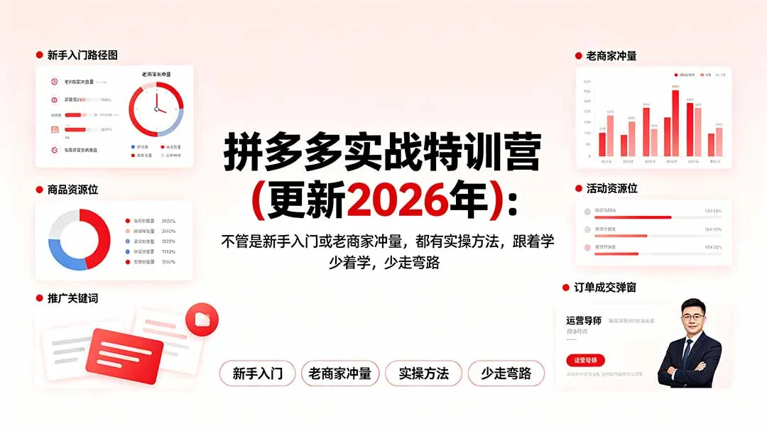 拼多多实战特训营(更新2026年-续财库