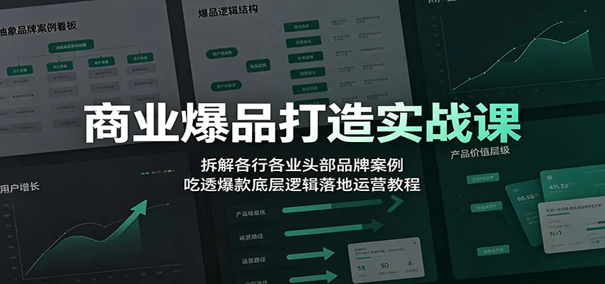 商业爆品打造实战课：拆解各行各业头部品牌案例，吃透爆款底层逻辑落地运营教程-续财库