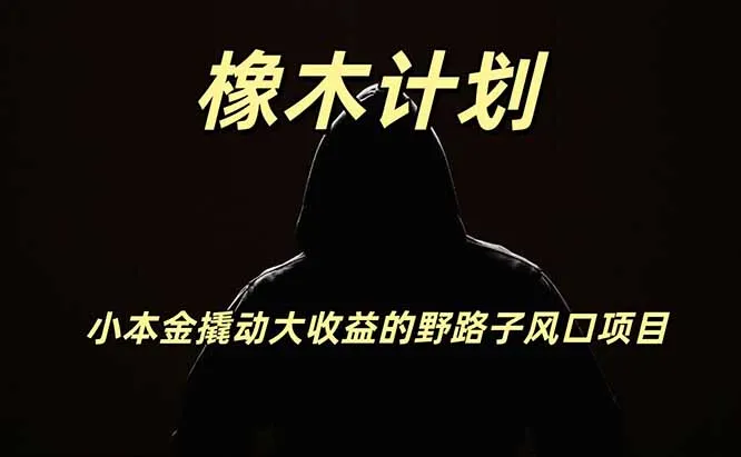 橡木计划,小投入撬动高回报的风口野路子项目,一天投入2小时左右-续财库