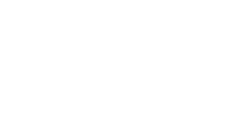 大卫·外贸人Codex + WordPress建站课(更新8月)-续财库