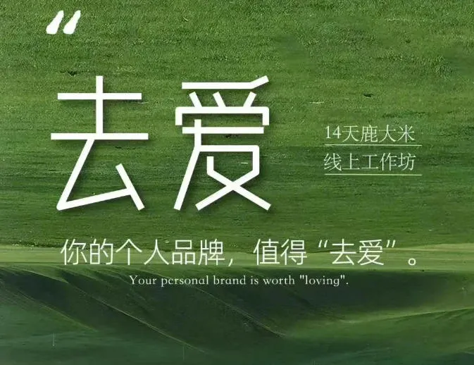 去爱14天鹿大米线上工作坊，你的个人品牌，值得“去爱”-续财库