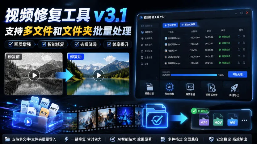 视频修复工具v3.1，支持多文件和文件夹批量处理-续财库