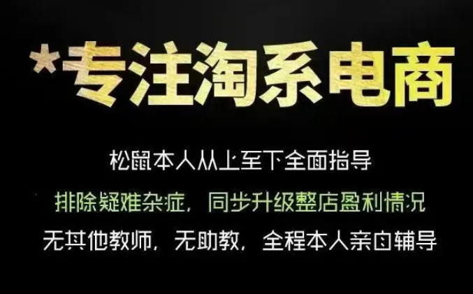松鼠会电商VIP课程，从基础布局到高阶优化，助你掌握淘宝运营逻辑，提升店铺流量与转化(更新0910)-续财库