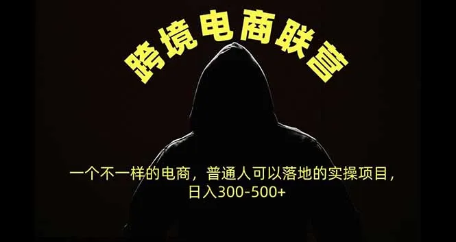 跨境电商联营，一个不一样的电商，普通人可操作日入300-500+-续财库