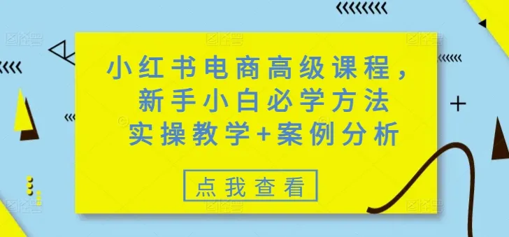小红书电商高级课程,新手小白必学方法,实操教学+案例分析-续财库