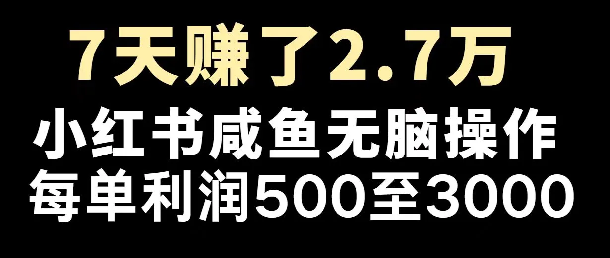 最赚钱项目之一，2025爆火，逆风翻盘！-续财库