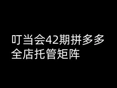 叮当会拼多多打爆班原创高阶技术第42期，拼多多全店托管矩阵-续财库