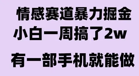 情感暴力掘金项目，新人操作一周挣了2W，长期稳定小白可做【揭秘】-续财库