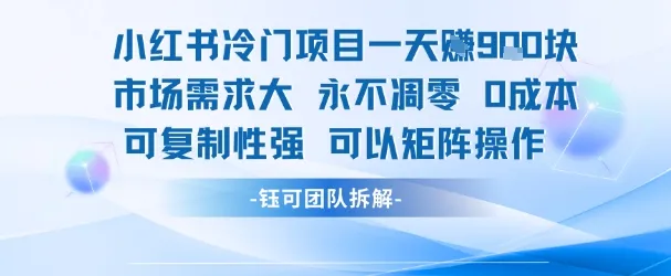 小红书冷门项目一天收益9张，市场需求大，0成本，可复制性强可以矩阵操作-续财库