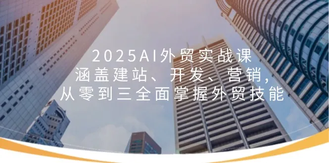 2025AI外贸实战课:涵盖建站、开发、营销, 从零到三全面掌握外贸技能-续财库