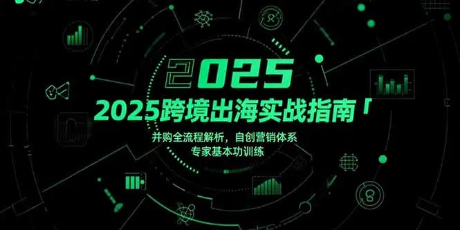 2025跨境出海实战指南,并购全流程解析,自创营销体系,专家基本功训练-续财库