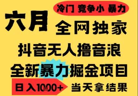 25年6月高爆抖音无人直播最新撸音浪掘金项目，小白可做，无脑日入1k+，门槛低可批量矩阵【揭秘】-续财库