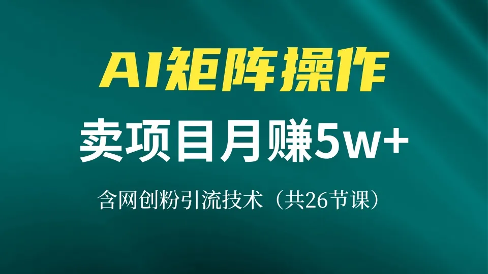 网创IP打造课，借助AI卖项目月赚5万+，含引流技术(共26节课-续财库