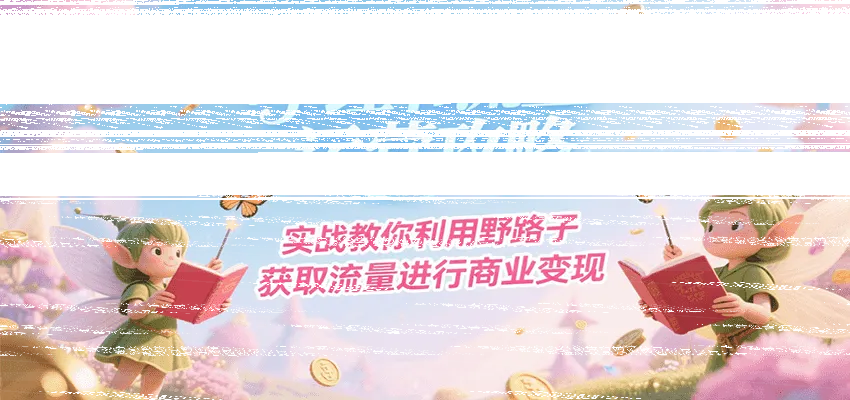 小红书流量运营攻略，实战教你利用野路子获取流量进行商业变现-续财库
