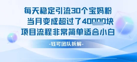 每天稳定引流30个人 当月变成超过了4个W项目流程非常简单适合小白-续财库