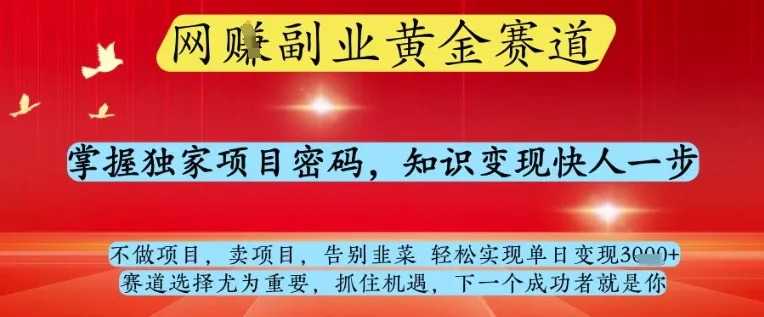 网创副业黄全赛道,掌握独家项目密码,知识变现快人一步,告别韭菜轻松实现单日变现1k+【揭秘】-续财库
