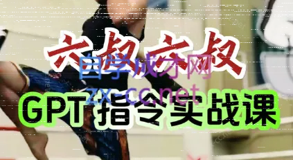 六叔的AI指令实战课(更新7月)-续财库