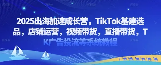 2025出海加速成长营,TikTok基建选品,店铺运营,视频带货,直播带货,TK广告投流等系统教程-续财库
