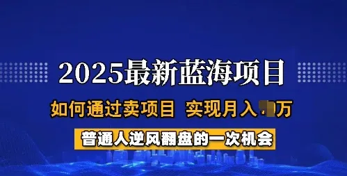 2025蓝海项目，普通人如何通过卖项目，实现月入过W，全过程【揭秘】-续财库