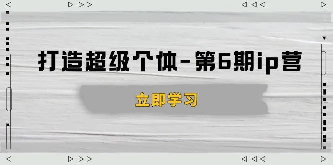 打造 超级个体-第6期ip营：商业认知,产品设计,成交演练,解决知识变现难题-续财库