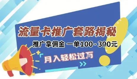 2025年外面卖1500的流量卡项目最新玩法,绿色无门槛对新手非常友好,日入3张+-续财库