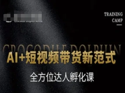 AI+短视频带货新范式，全方位达人孵化课-续财库