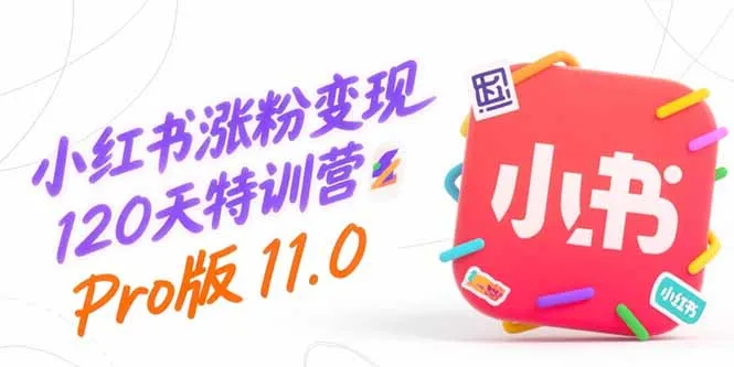 小红书涨粉变现120天特训营Pro版11.0:从0到1掌握平台运营,内容制作和变现-续财库