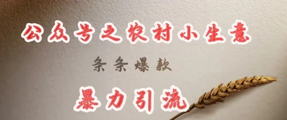 deepseek写农村小项目，条条爆款，暴力引流-续财库