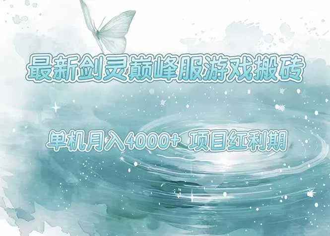 最新剑灵巅峰服游戏搬砖，项目红利期，单机稳定4000+操作简单好上手-续财库