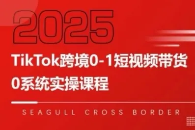 TikTok跨境0-1短视频带货，系统拆解TikTok跨境带货全链路，实现跨境可持续盈利-续财库