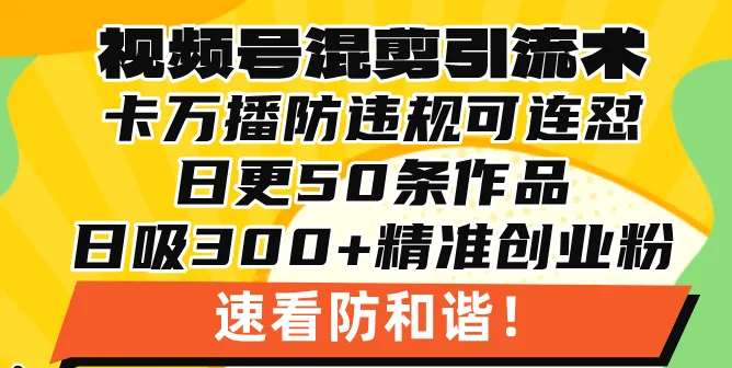 视频号混剪引流技术，500万播放引流17000创业粉，操作简单当天学会-续财库