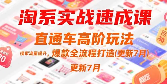 淘系实战速成课，直通车高阶玩法，搜索流量提升，爆款全流程打造(更新7月-续财库