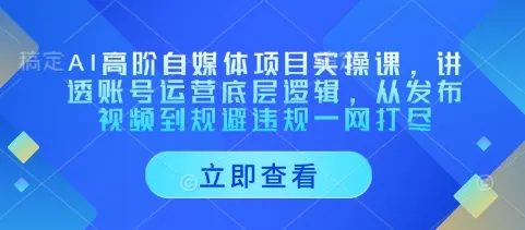 AI高阶自媒体项目实操课，讲透账号运营底层逻辑，从发布视频到规避违规一网打尽-续财库