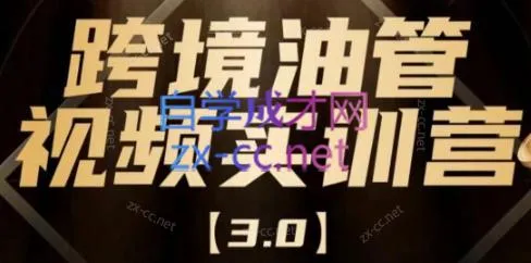 阿蔺Leo·跨境油管视频YouTube实训营(更新2025)-续财库