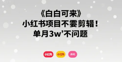 小白可来 小红书项目不需要剪辑 单月3w不是问题-续财库