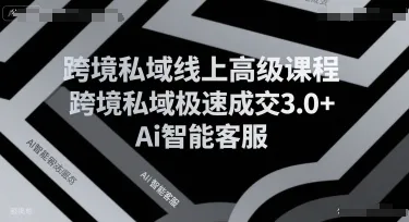 跨境私域线上高级课程，跨境私域极速成交3.0+Ai智能客服-续财库