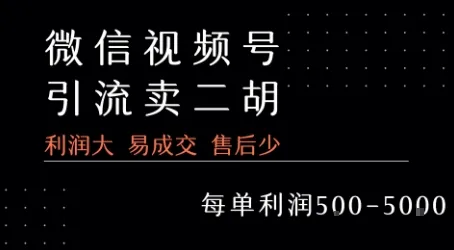 视频号卖二胡教程，利润大 易成交 售后少，一单利润5张+-续财库