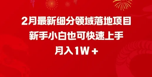 2月最新细分领域落地项目，新手小白也可快速上手，月入1W-续财库