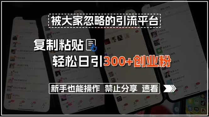被大家忽略的引流平台，复制粘贴轻松日引300+创业粉，新手也能操作，禁...-续财库