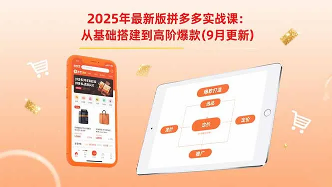 2025年最新版拼多多实战课:从基础搭建到高阶爆款(9月更新-续财库