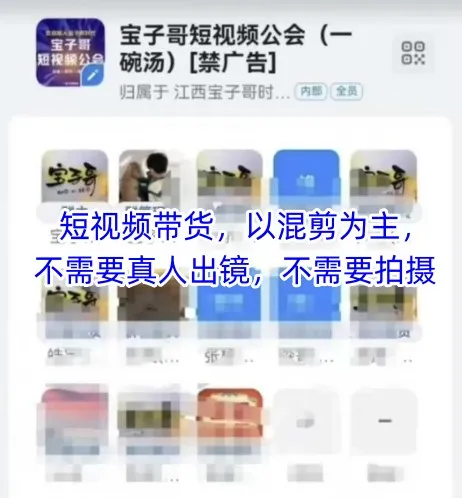 宝子哥头部团队短视频带货，以混剪为主，不需要真人出镜，不需要拍摄-续财库