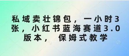 私域卖壮锦包，一小时3张，小红书蓝海赛道3.0版本， 保姆式教学-续财库
