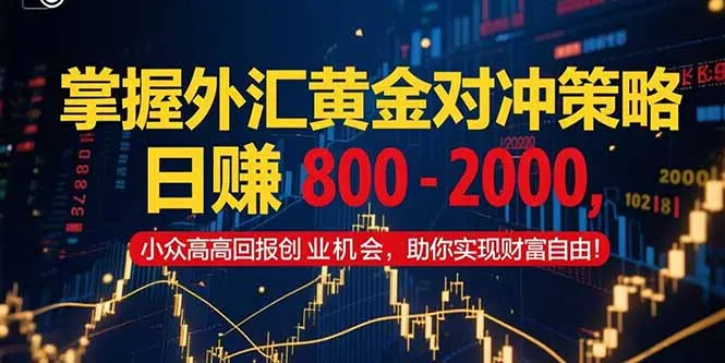 掌握外汇黄金对冲策略，日赚 800 - 2000，小众高回报创业机会，助你实...-续财库