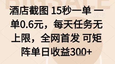 酒店截图项目,15秒一单,一单0.6米,每天任务无上限,全网首发可矩阵单日收益3张+【揭秘】
