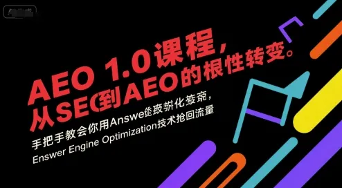 AEO 1.0 课程，从SEO到AE0的基命性转变，手把手教会你用AnswerEngineOptimization技术抢回流量-续财库