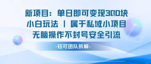 新项目单日即可变现3张的小白玩法无脑操作不封号安全引流-续财库