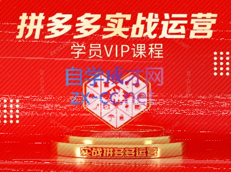 推易电商·拼多多实战运营课(更新2025月)-续财库