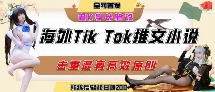 海外tiktok小说推文暴力项目，高停留率，高转化率，上手后一天搞顿饭钱不是问题-续财库